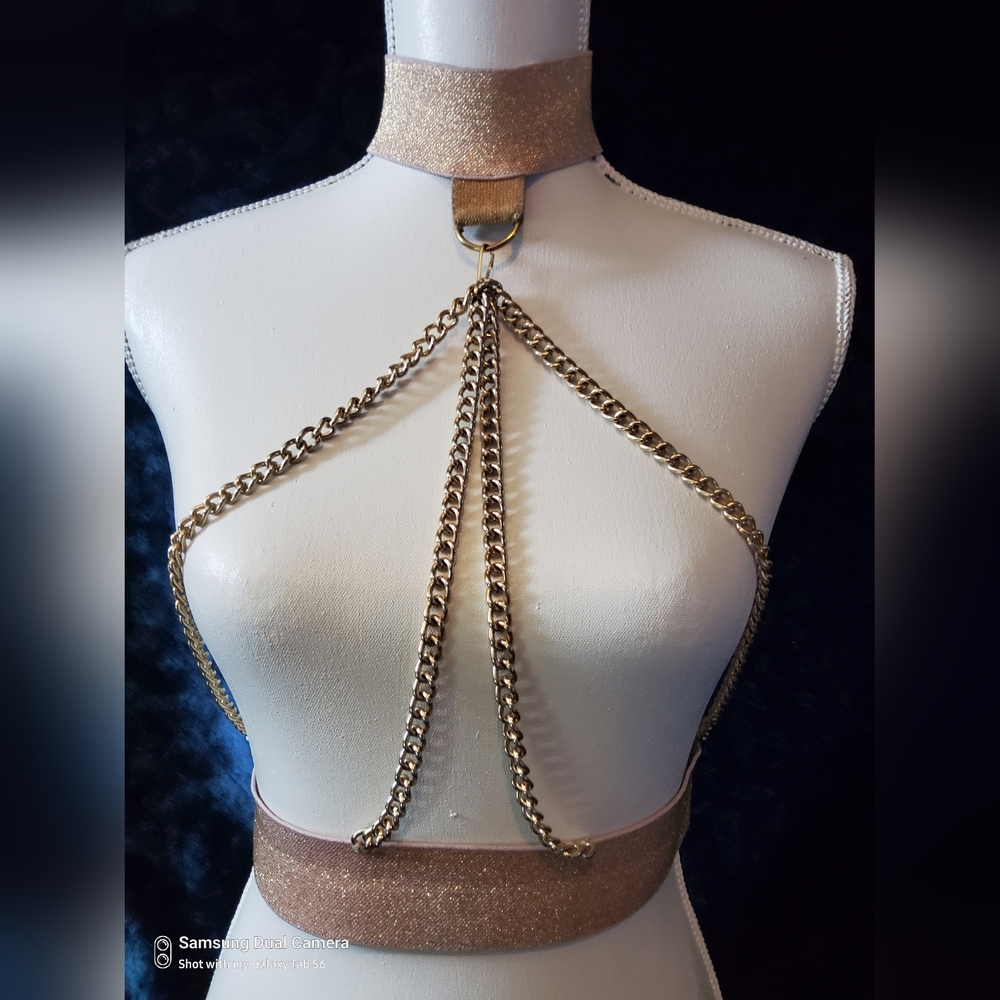 Choker harness with chain